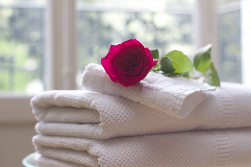 chambre-hote-BELGENTIER-min_towel_rose_clean_care_salon_spa_white_bath-731641